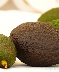 Diferentes calibres de aguacates variedad Hass