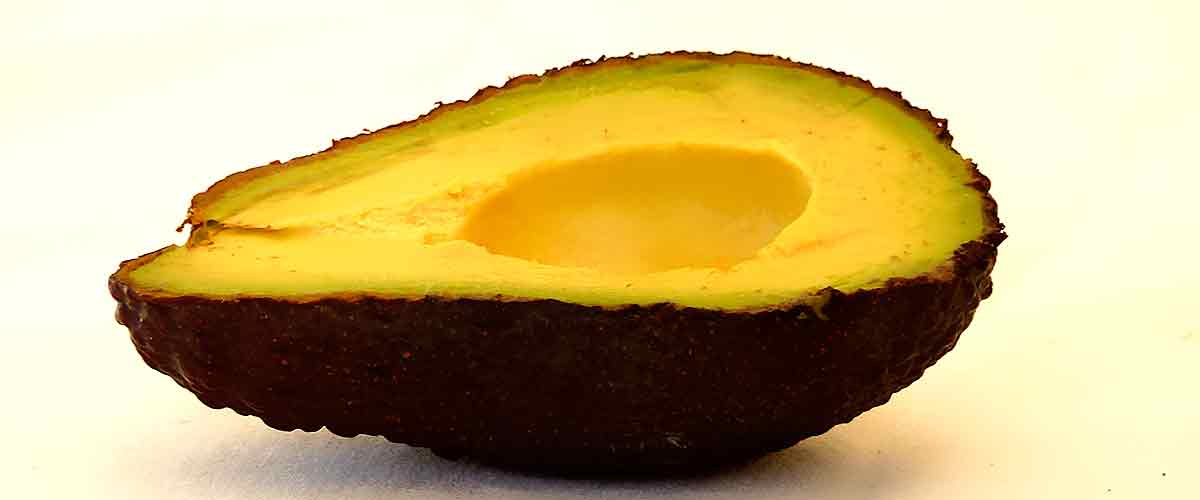 Aguacate Hass, la variedad de referncia