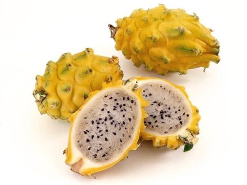 Fruta de la planta de pitahaya H. megalanthus
