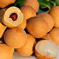 Longan