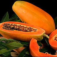 Papaya