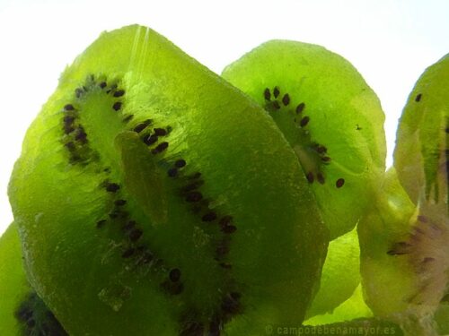 kiwi deshidratado de Campo de Benamayor