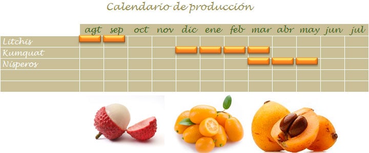 Calendario de cosecha de litchis, kumquat y nísperos en Málaga