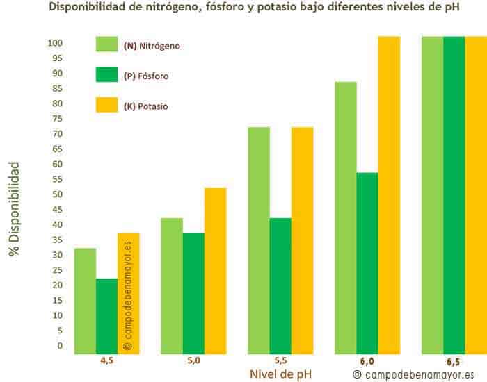 Tasas de aprovechamiento del fertilizante en función del pH