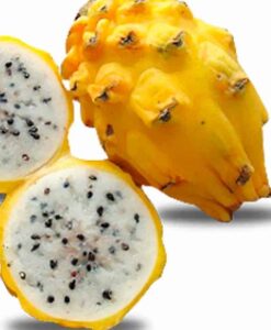 Esta fruta de pitaya amarilla la puedes comprar online