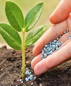 Abonado de las plantas