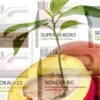 Abonos para mango en agricultura de tipo convencional