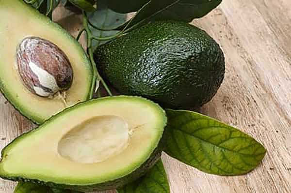 Comprar aguacates online de de Málaga variedad Hass