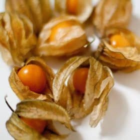 Frutos de la planta de physalis