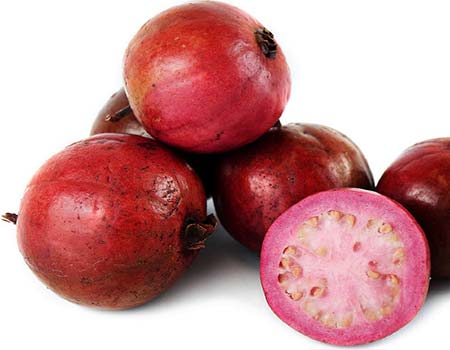Fruta de la planta de guayaba fresa
