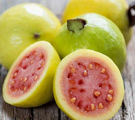 Fruta de la planta de guayaba limón