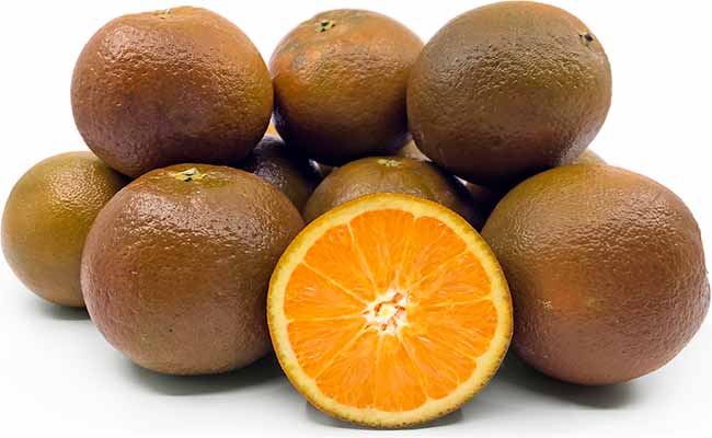 Fruta del naranjo Navel chocolate