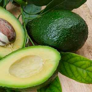 frutas tropicales