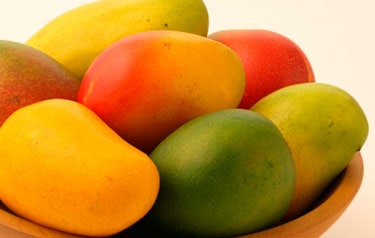 Mango Kent junto a otras variedades verde y amarillas