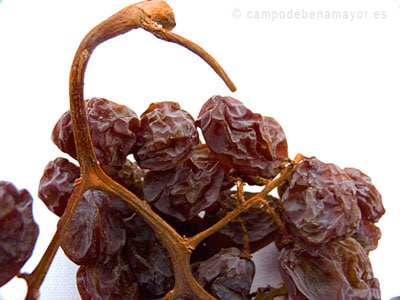 Pasas Moscatel cosechadas por Campo de Benamayor