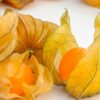 Comprar physalis en bandeja