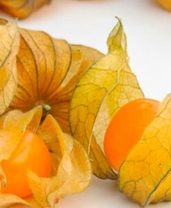 Comprar physalis en bandeja