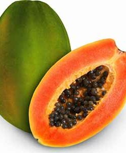 Plantas de papaya