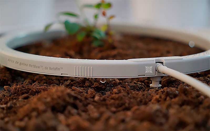 Inicio Riego de precisión por goteo